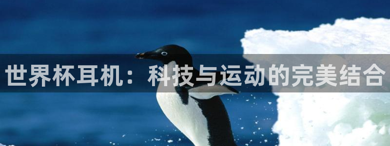女足世界杯直播：世界杯耳机：科技与运动的完美结合