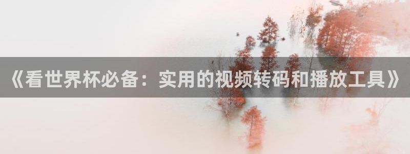 足球世界杯2026年赛程时间表：《看世界杯必备：实用的视频转码和播放工具》