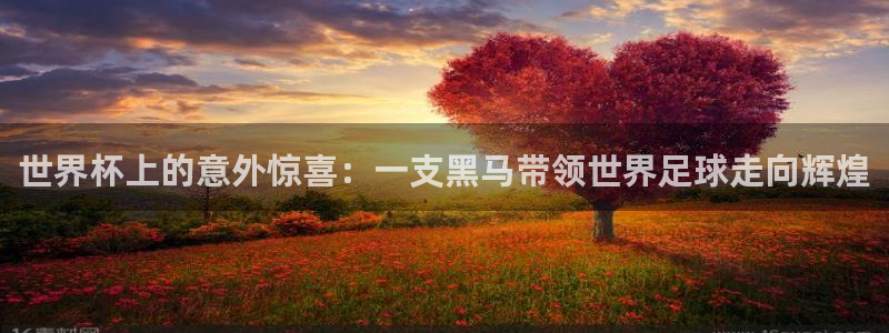 世界杯预赛赛程：世界杯上的意外惊喜：一支黑马带领世界足球走向辉煌