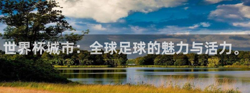 世界杯决赛直播：世界杯城市：全球足球的魅力与活力。