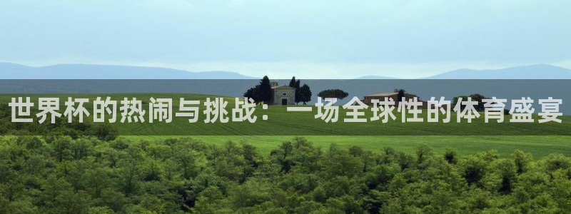 世界杯赛程2026：世界杯的热闹与挑战：一场全球性的体育盛宴
