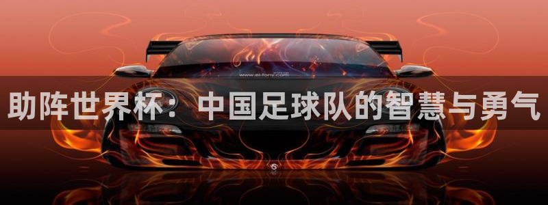 世界杯今日赛程直播：助阵世界杯：中国足球队的智慧与勇气