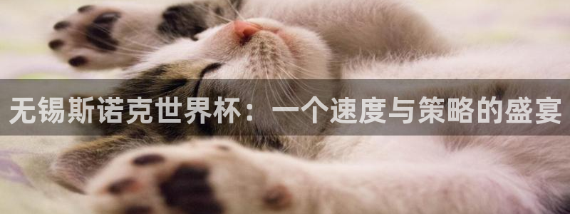 西超杯直播：无锡斯诺克世界杯：一个速度与策略的盛宴