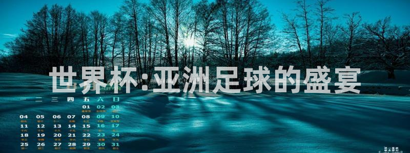 足球世界杯：世界杯:亚洲足球的盛宴