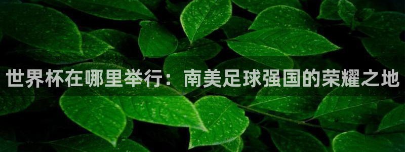足球世界杯：世界杯在哪里举行：南美足球强国的荣耀之地