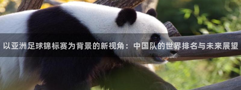 2026年足球世界杯赛程时间表：以亚洲足球锦标赛为背景的新视角：中国队的世界排名与未来展望