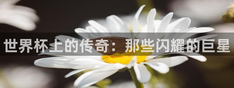 2026世界杯对阵图：世界杯上的传奇：那些闪耀的巨星