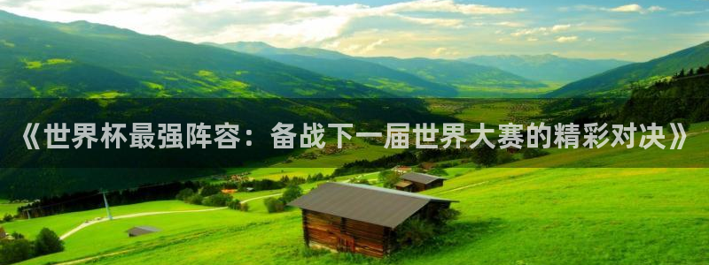 2026世界杯官网入口：《世界杯最强阵容：备战下一届世界大赛的精彩对决》